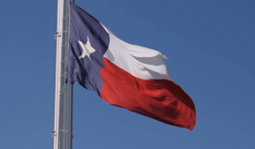 Flag of Texas waving on a pole