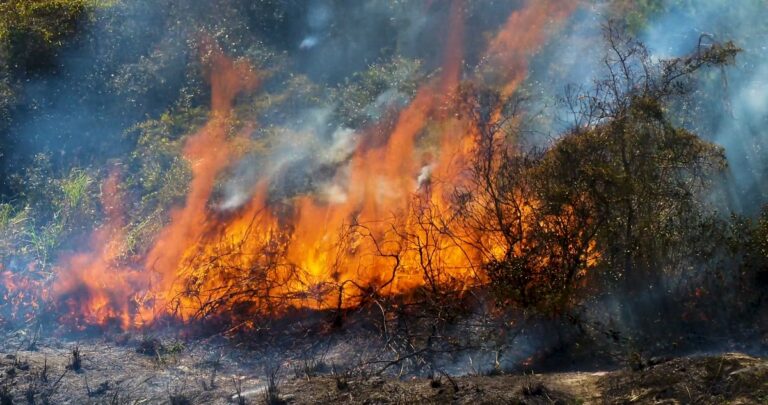 Bexar County Burn Ban