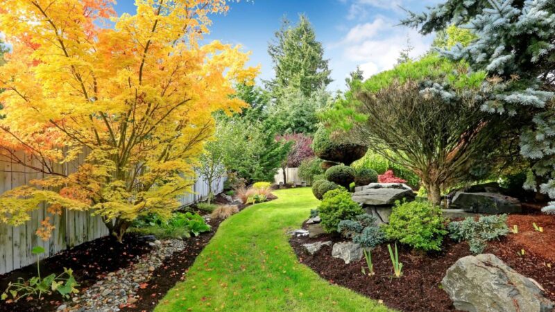 8 Landscaping Solutions That Bring Nature Closer to Your Doorstep - HTexas